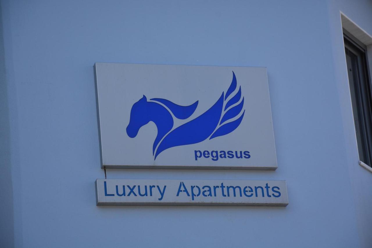 Pegasus Sea View Luxury Apartments Nea Vrasna Bagian luar foto